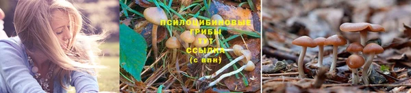 соль ск Арсеньев