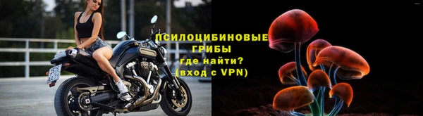 соль ск Арсеньев