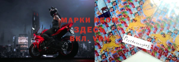 стаф Осташков