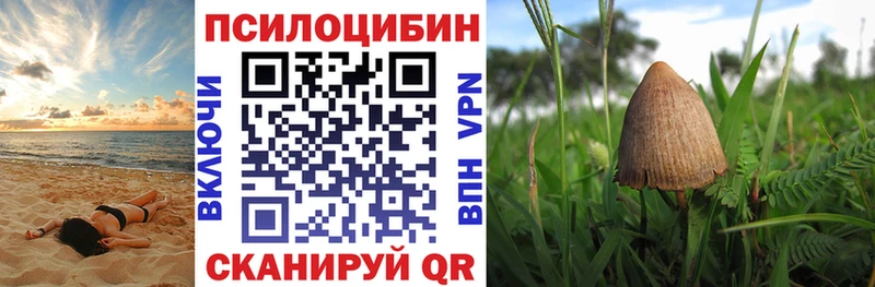 наркошоп  Гремячинск  Галлюциногенные грибы ЛСД 